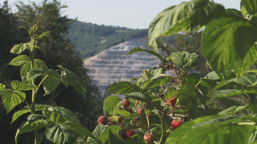 Organska proizvodnja u okolini jezera Stubo Rovni