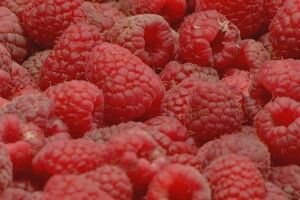 Malina: 8KM/kg za polku, isplata odmah po isporuci - Je li ovo konačna cijena?