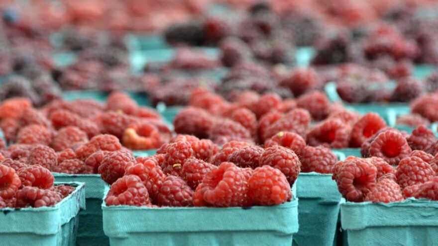 Novi protest malinara u petak!