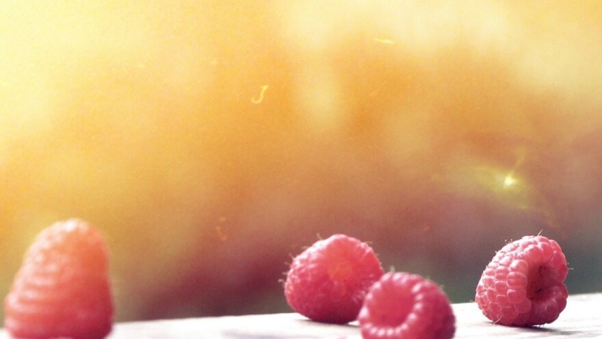 Razdor među malinarima? U ZDK jedni istresaju malinu na cestu, a drugi brane Vladu ZDK