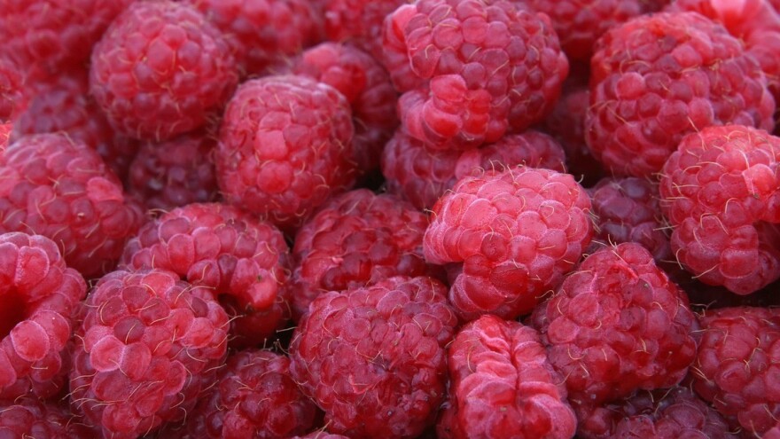 Poljska pomaže ukrajinskim malinarima, dok njihovi malinari grcaju u problemima