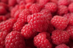 Budućnost maline - 1. Kongres malinarstva FBiH