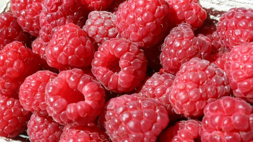 Malinarstvo će zaživjeti jedino kao porodični biznis?