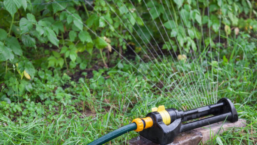 Navodnjavanjem malinjaka do 4.000 radnih mjesta