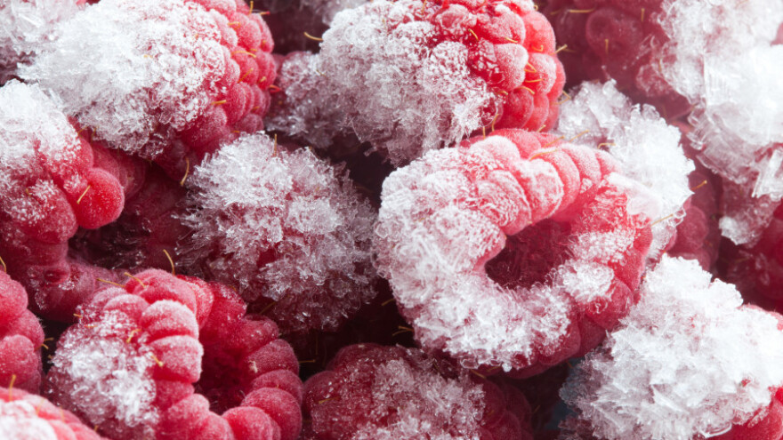 Visoka otkupna cijena drži maline u hladnjači?