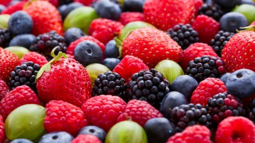 Snijeg uništio malinjake, štete i do 80 posto