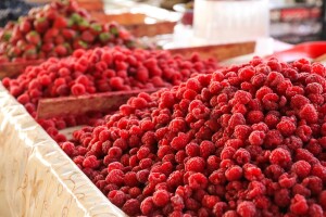 Unatoč padu cijene, izvoz maline značajno porastao!