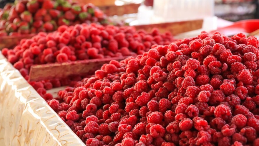 Unatoč padu cijene, izvoz maline značajno porastao!