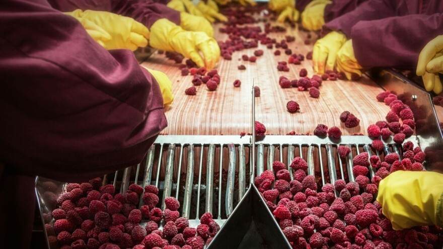 Nedimović: Otkupna cena od 100 dinara za malinu nije realna