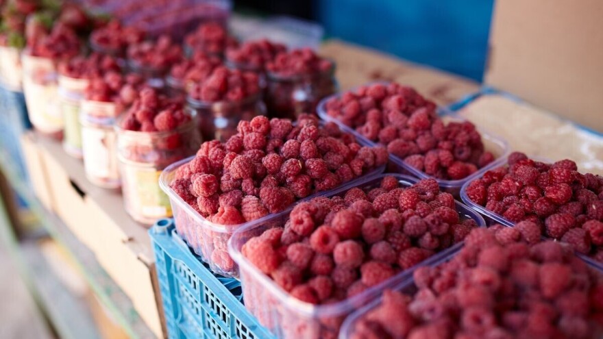 Proizvodnja maline ima dobru šansu u BiH