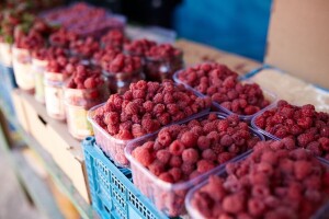 Rekorderka u malinjaku: Za jedan dan, sama ubrala 122 kilograma