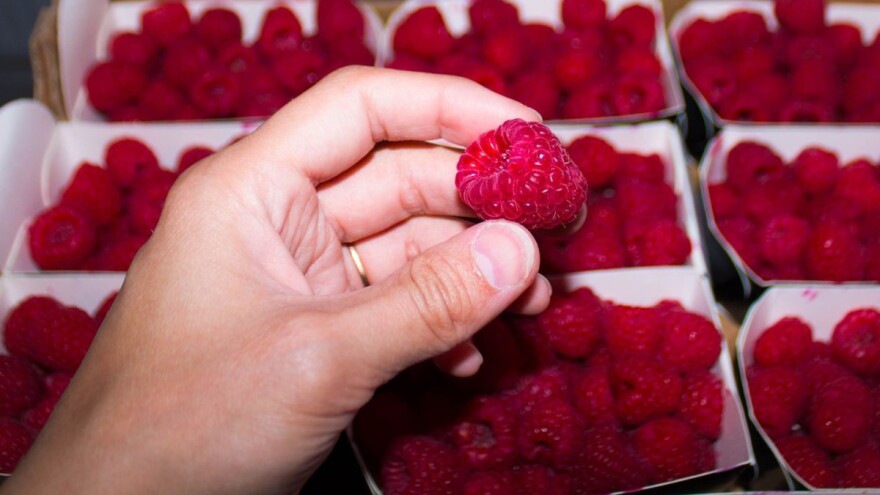 Malinari ogorčeni: Prevareni smo i izmanipulisani - spremni smo na blokadu hladnjača