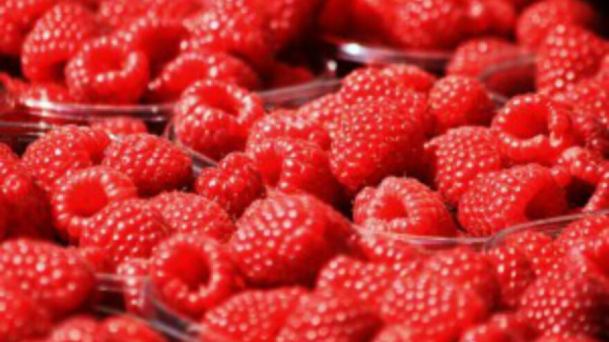 Kampanja otkupa maline - pojačana kontrola