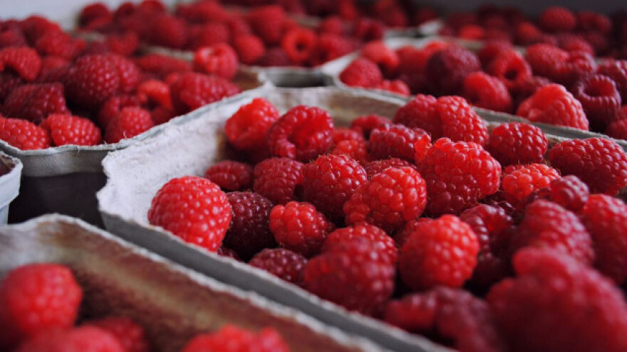 Monopolisti ugrožavaju srpske malinare