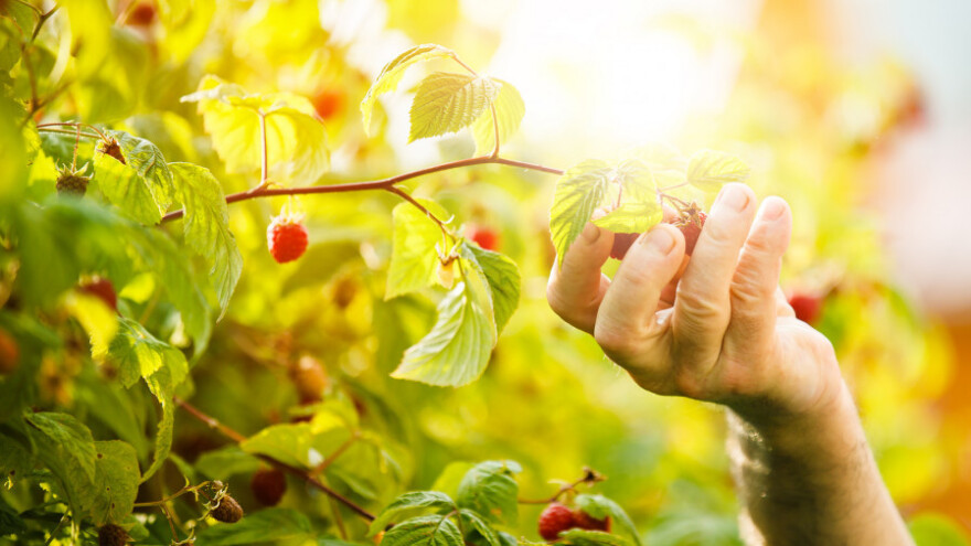 Malinari traže hitan sastanak sa ministrom