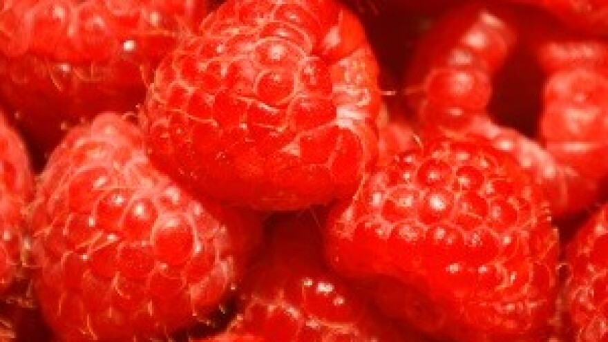 Poljska pretekla Srbiju i postala najveći proizvođač malina