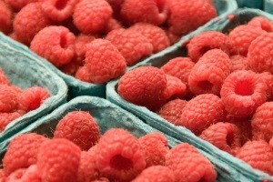 Srbija: Potencijal izvoza malina pola milijarde dolara