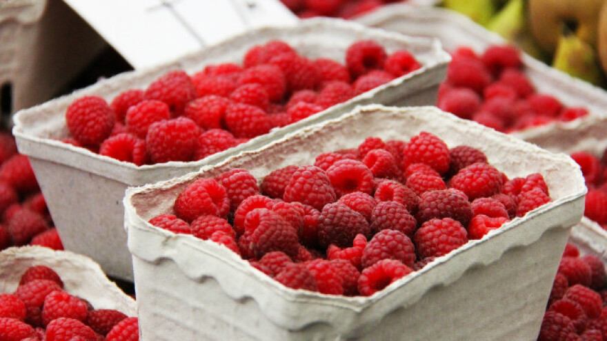 Ipak niža otkupna cijena maline?