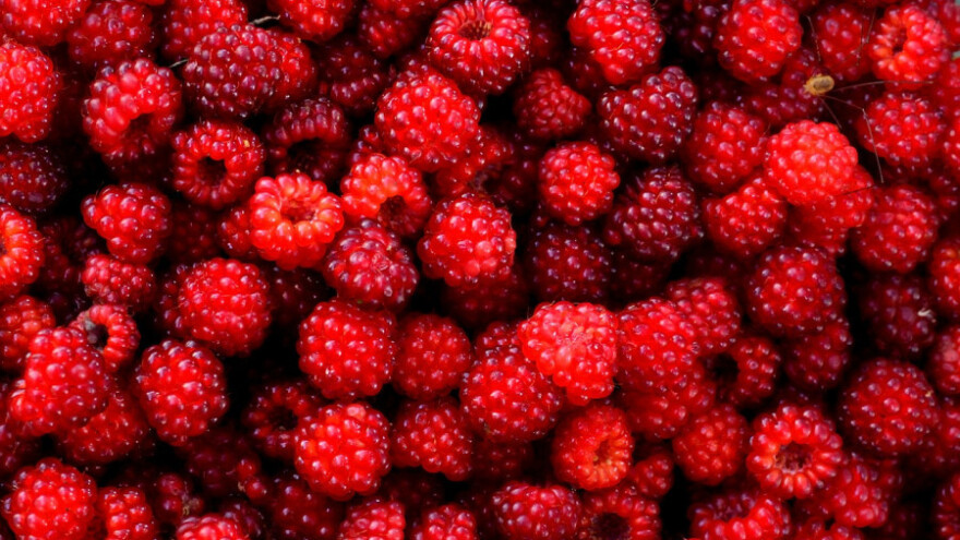 Malinarima povećali novčanu podršku