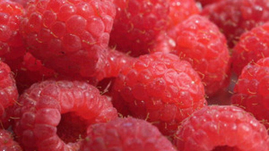 Obitelj Štefančić proizvodi ekomaline