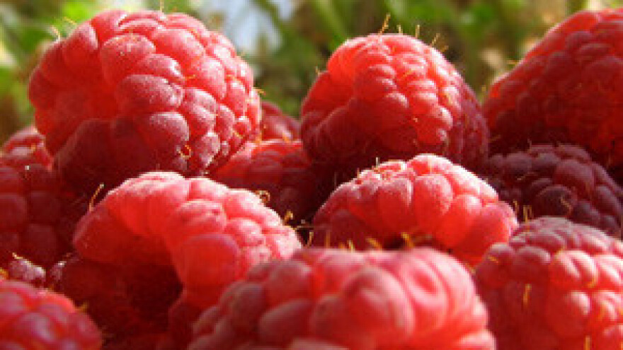 Slavonska košarica već okupila 85 proizvođača