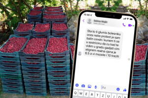 Malinarima prijete zbog najavljenih protesta: "Gađat ću te čim stignem"