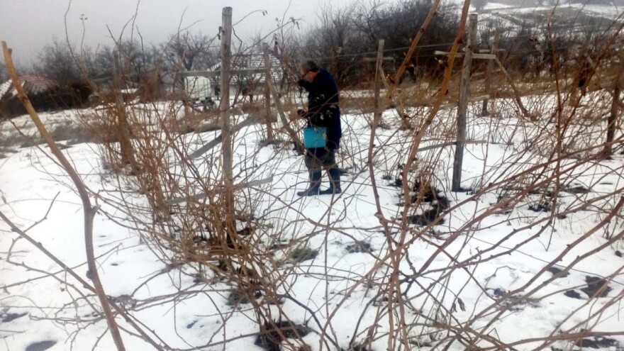 Ivan Tasić u novu proizvodnu sezonu ulazi sa zebnjom