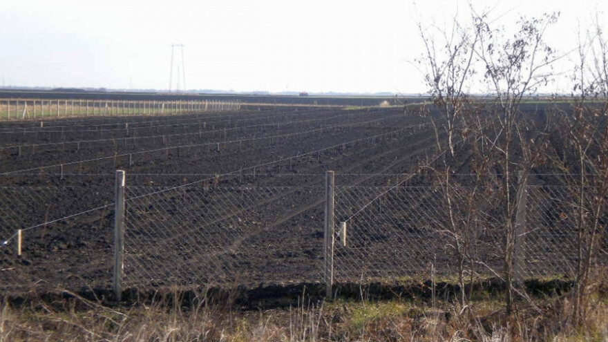 Malinari odustaju od polke