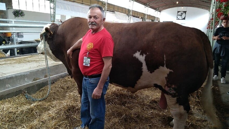 Najpopularniji bik na sajmu "težak" 8.000 eura
