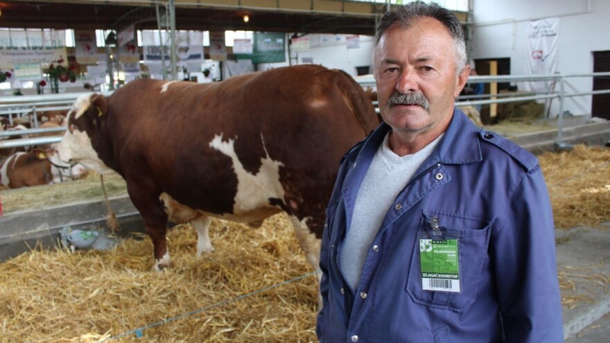 Radenko Jeremić: Nikada nisam imao ovakvog bika!