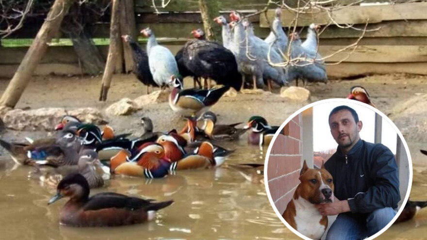 Mladen Goronjić godinama uzgaja oko 15 vrsta i 40 rasa životinja