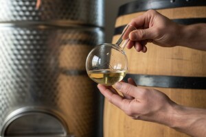 Malolaktična fermentacija