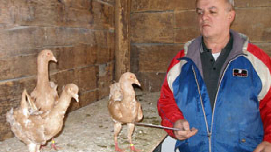 Fadil Brkić zaljubljenik u maltezere