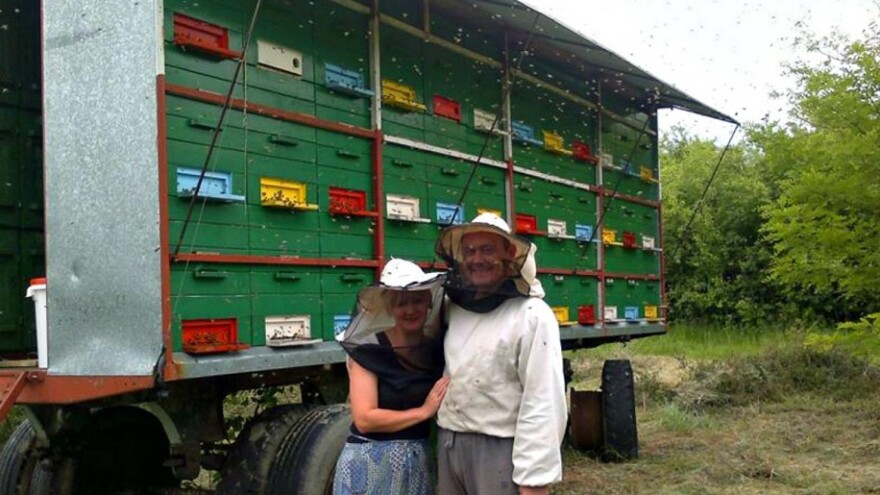 Milijuni radilica i četiri Matasovića!