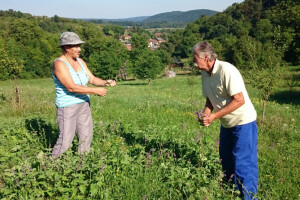 Poljoprivreda liječi - vitalni uz eko hranu i rad!