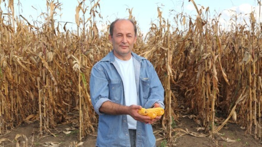 Sajamski popust na Bc hibride kukuruza!