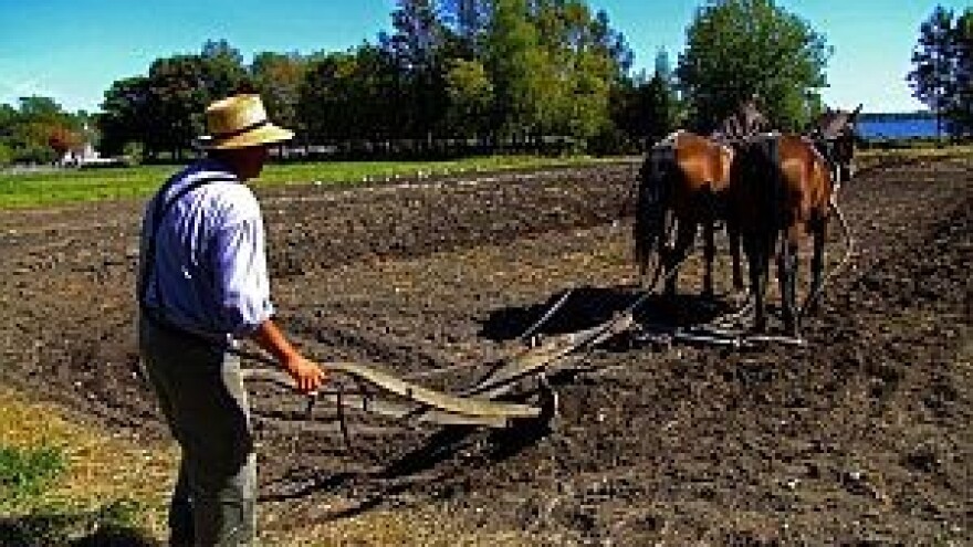 11. Državno natjecanje u oranju i 2. Državno natjecanje u oranju konjima
