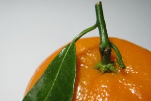 Za izvoz 75 posto uroda mandarina