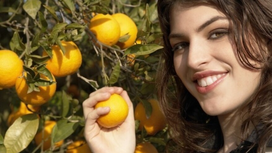 Boris Lalovac: Niži PDV na strateške proizvode!