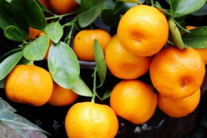 Prinos mandarina u RS prošle godine bio 5 tona