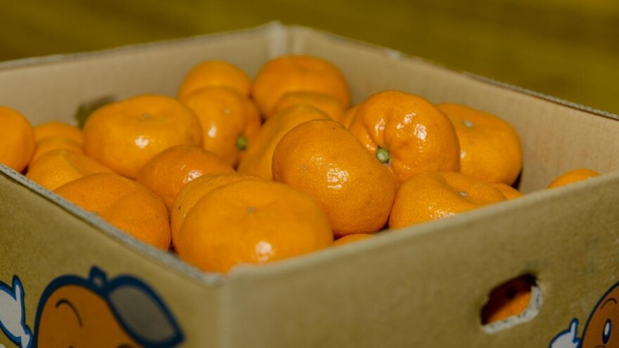 Treći put zabranili uvoz mandarina iz Turske