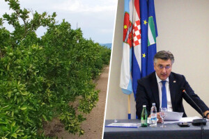 Pisali Plenkoviću: Shvatite problem proizvođača ozbiljno i iskomunicirajte ga s mjerodavnima