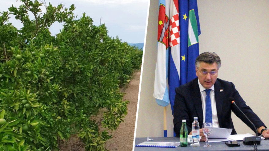 Pisali Plenkoviću: Shvatite problem proizvođača ozbiljno i iskomunicirajte ga s mjerodavnima