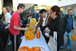 Potpore za povlačenje s tržišta jabuka/mandarina