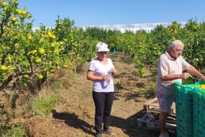 Da Poljaci uvezu stoti dio naših mandarina koliko mi njihovih jabuka - to bi bio biznis