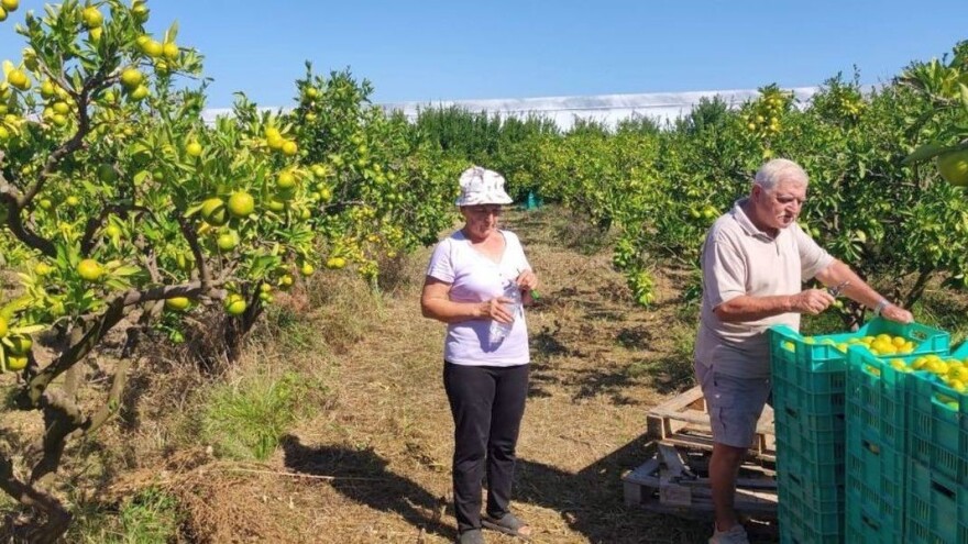Da Poljaci uvezu stoti dio naših mandarina koliko mi njihovih jabuka - to bi bio biznis