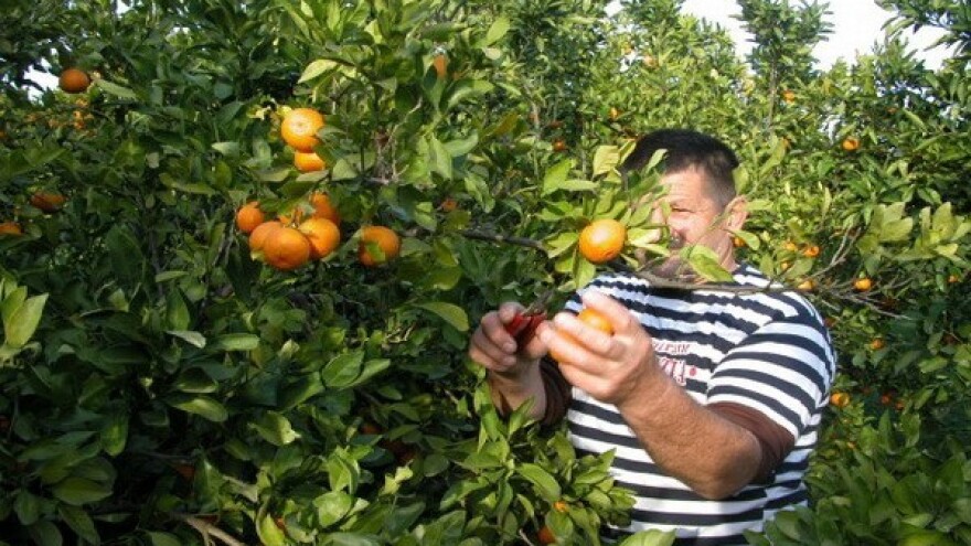 Srbija će kontrolirati reeksport proizvoda u Rusiju!