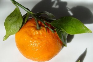 Mandarine s pesticidima ne mogu u EU