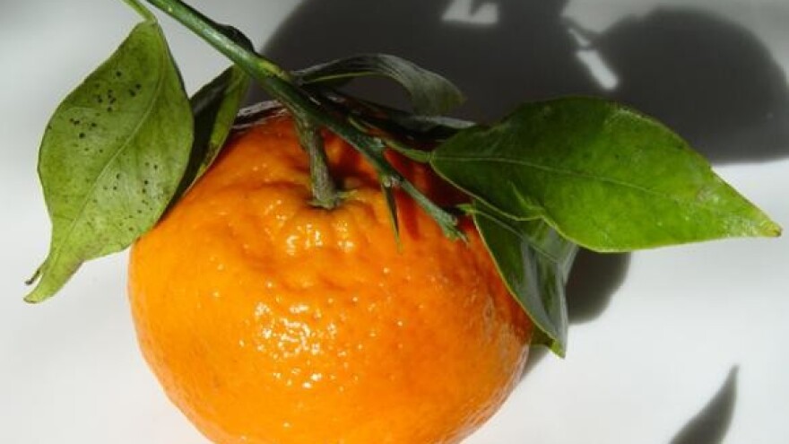Mandarine s pesticidima ne mogu u EU