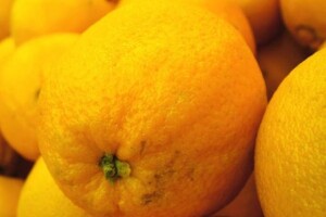 Neretvanska mandarina: hrvatski izvozni brend
